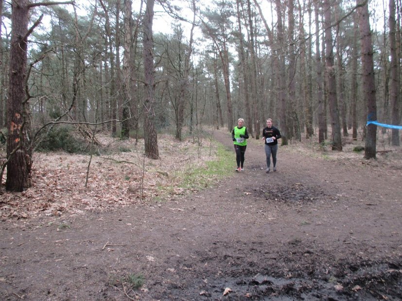 Bosloop Brecht - 07